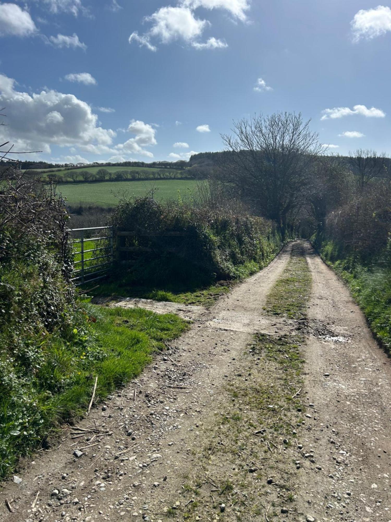 Meadowside Cottage, Characterful Grade 2 Listed Cottage Near To Wadebridge And Padstow Εξωτερικό φωτογραφία